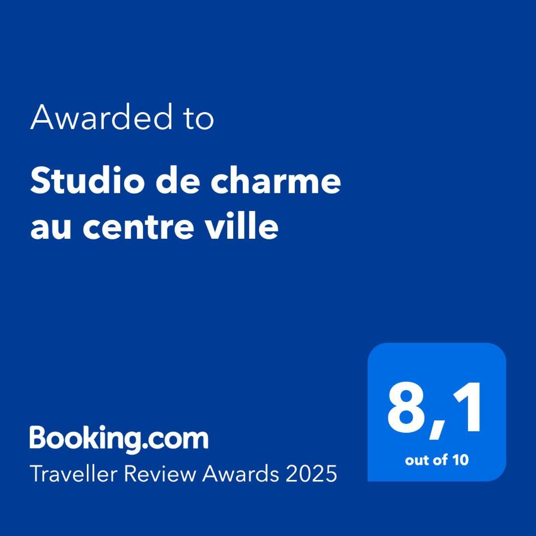 Studio De Charme Au Centre Ville Salies-de-Béarn Kültér fotó